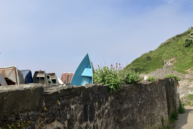 Canoes. Photo by Judy Darley