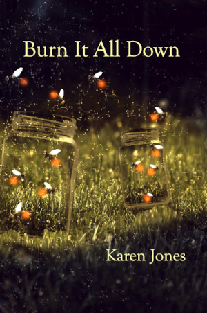 Burn It All Down by Karen Jones_front_cover